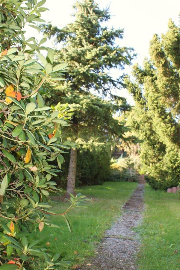 Ferienhaus Harzblick Güntersberge Zewnętrze zdjęcie