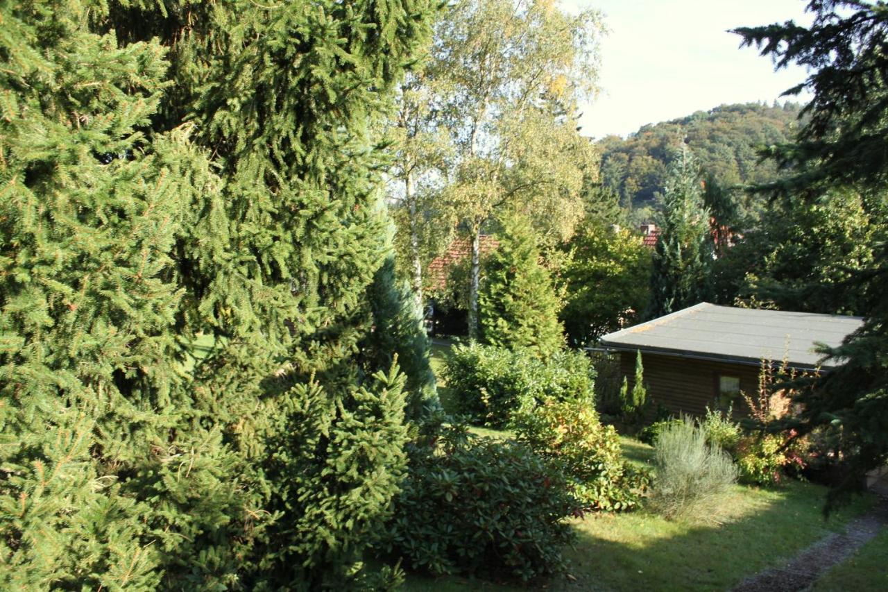 Ferienhaus Harzblick Güntersberge Zewnętrze zdjęcie